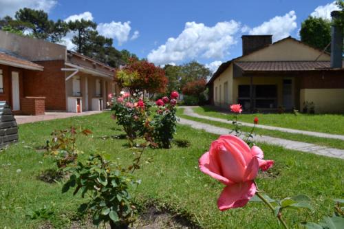 Alfil Apartamentos Villa Gesell
