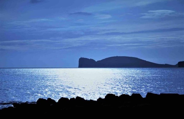 ALGHERO SUN & SEA - Spiaggia a 50 metri
