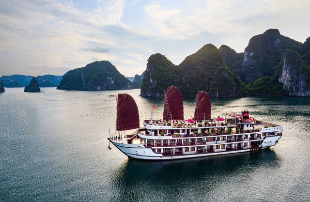 Alisa Premier Cruise