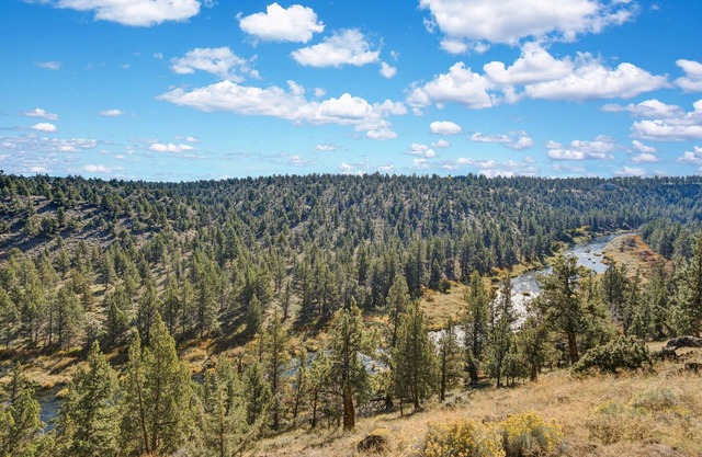 Todas las vistas al río: vistas despejadas de Deschutes Perros ¡Bienvenidos!