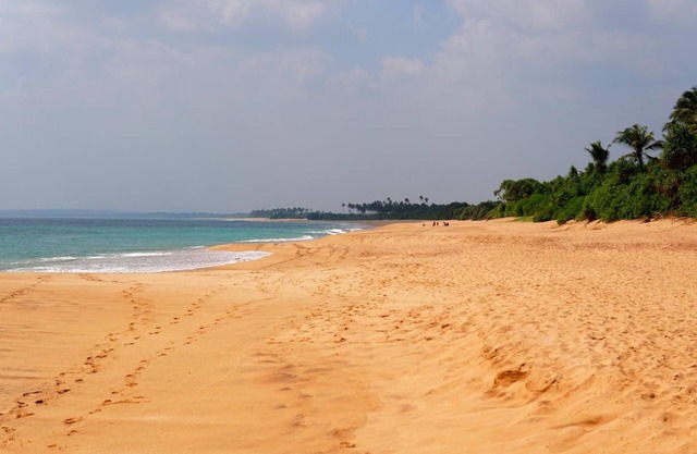 All view resort