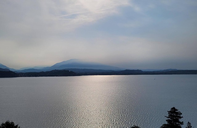All You Need Is Lake