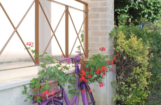 Alle Terme B&B