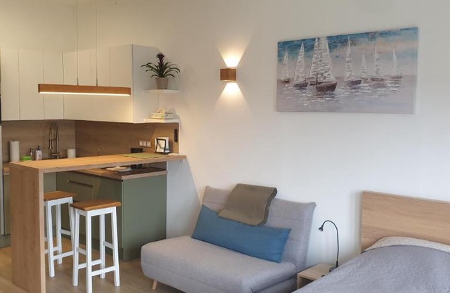 ALLEE APARTMENT (newly renovated spring 2023)