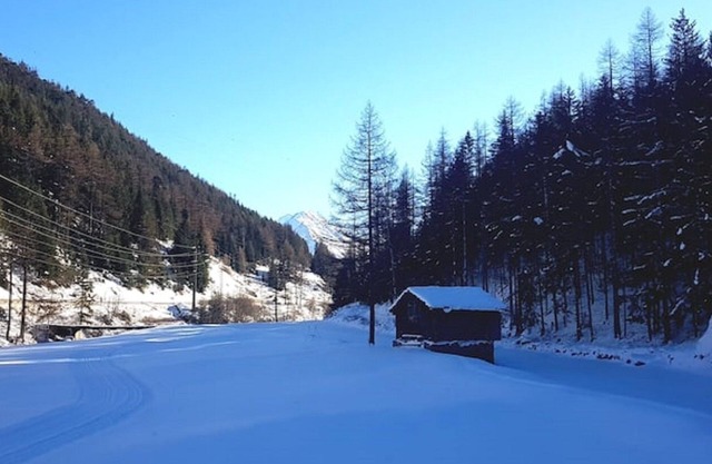 Alleinstehende, idyllische Wohnung an guter Lage!