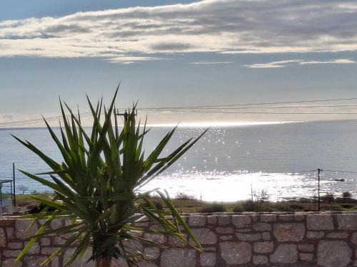 Almira Beach House