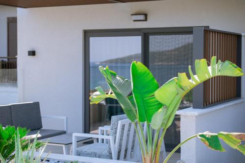 Aloe Elegant Suites