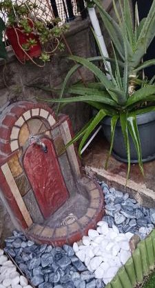 "aloe garden"