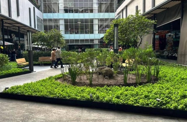Starmedica y Plaza Tlalne