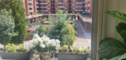Alojamiento Oviedo 3 con parking