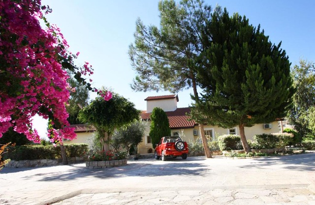 Alonia Villas
