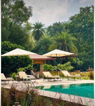 Aloof Jungle Lodge