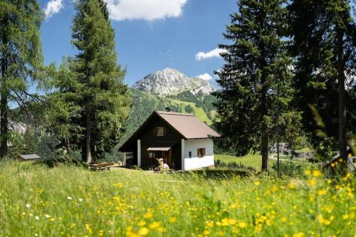 Alpen Chalet mit Bergblick