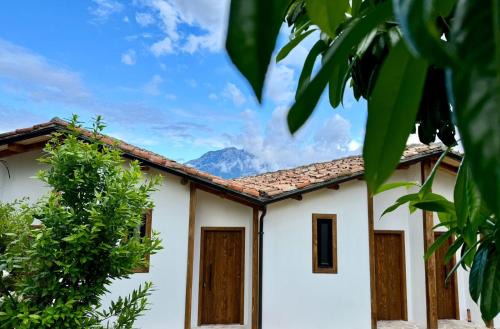 Alpeta Agrotourism & Winery - Roshnik , Berat