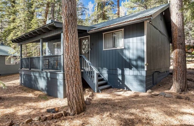 Alpine Aspen Cabin 5