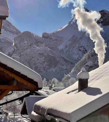 Alpine Chalet