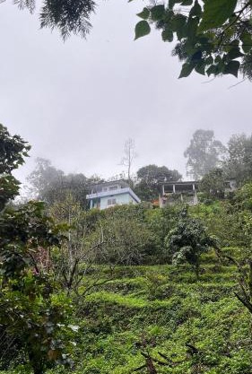 Alpine Fruits Dale Kanthalloor