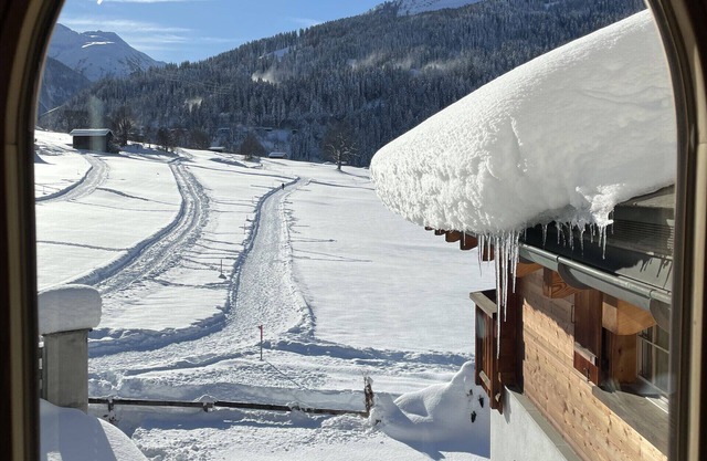 Alpine Style Swisshomebnb