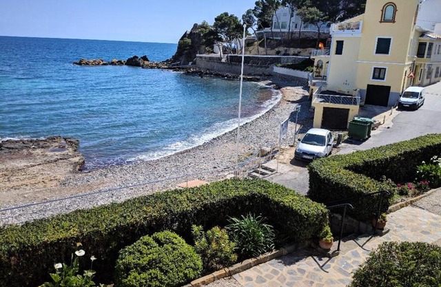 Altea Flying Whale