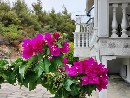 Althea Three - Sithonia Chalkidiki 250m from the beach