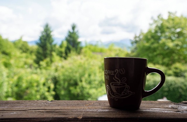 Ama Bliss – A cozy mountain cabin with view