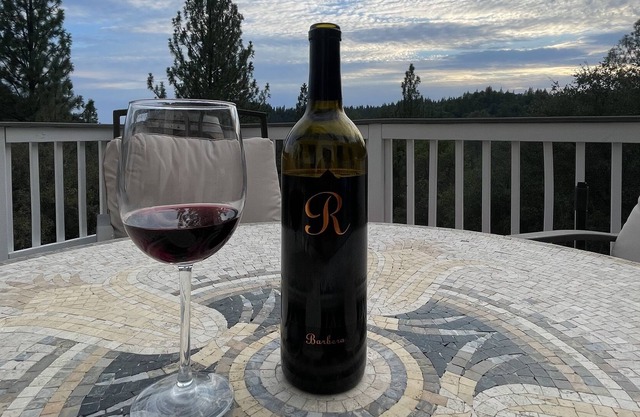 Amador Wine Country Home in the Tree Tops