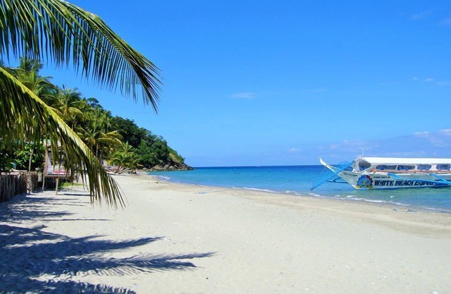 Amami Beach Resort