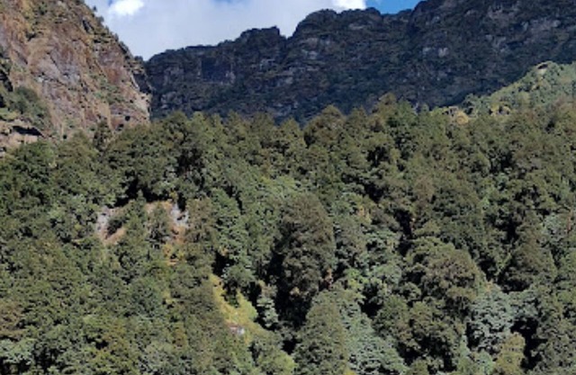 Amar Resort Chopta Tungnath