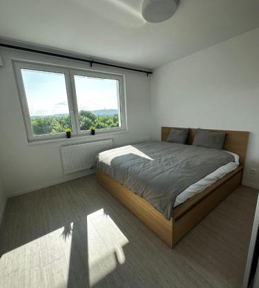 Amazing 1BR & 1LR Apartment very Central