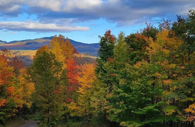 Available for your late summer ADK High Peaks Adventures!!
