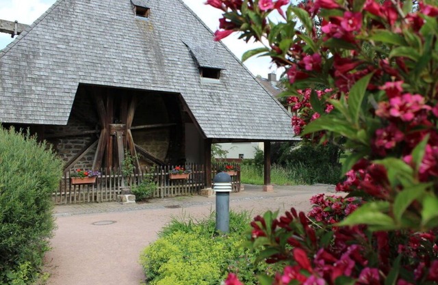 Amazing apartment in Unterkirnach