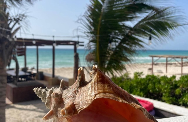 Amazing Beachfront 3-Bdrs. groundfloor Suite “Chef & Staff”in Playa del Secreto