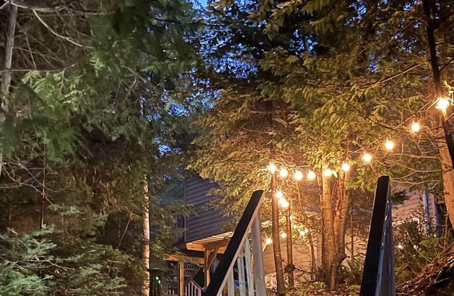 Amazing Family Cottage on 350 ft private waterfront