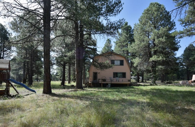 Increíble casa en el bosque