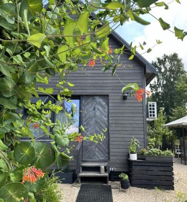 Amazing little house on an island with garden