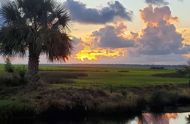 AMAZING SEA PALMS RENTAL! Perfect for Families! 4 Bed/3 bath, sleeps 8-GOLF!