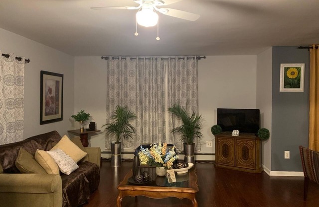 Amazing Two bedroom Villa in East Brooklyn