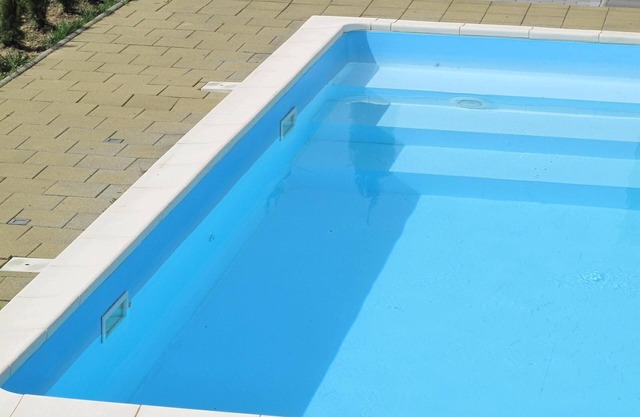 Vivan las vacaciones ! -