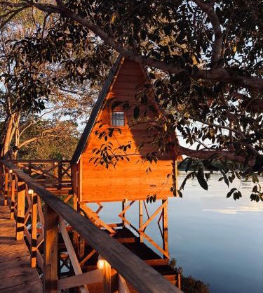 Amazon Private Tours Jungle Lodge
