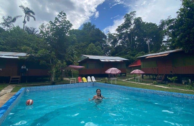 Amazon Queen Lodge