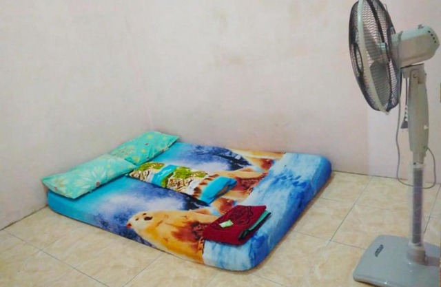 Amelia 4 Guest House Female