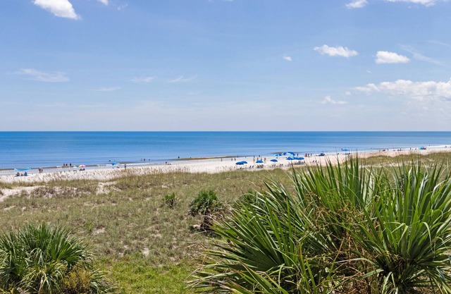 Amelia Island 1 BR Seaside Escape at Terraces at Beachside