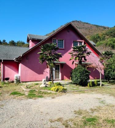 American House
