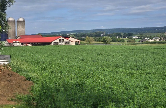 AMISH STAY W/HORSE AND BUGGY RIDES/ALSO BOUNCE HOUSE WATER SLIDES