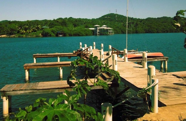 An Oasis in West End: Waterfront with Pool and Dock