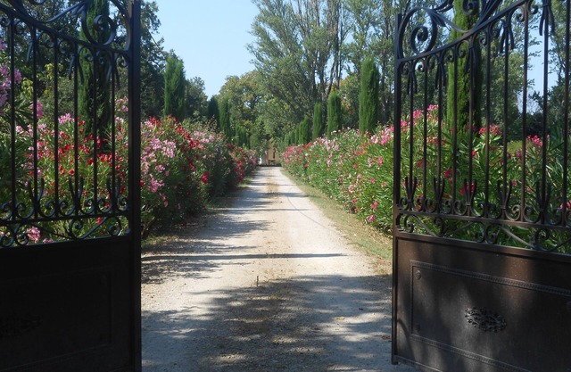 En la tierra de la Provenza, Mas Valérian