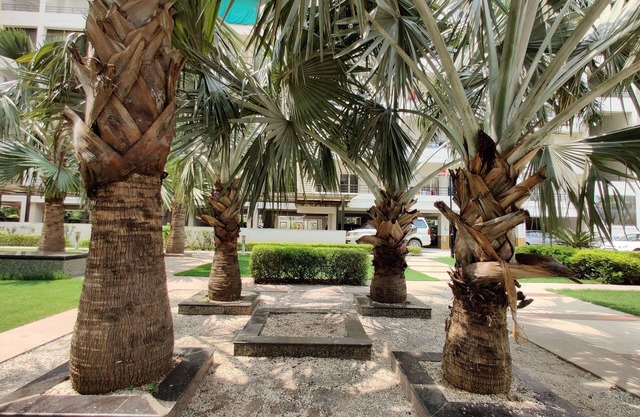 Anand's Aashiyana Homestay