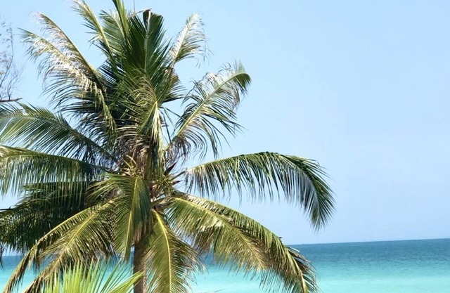 Anaya Koh Rong