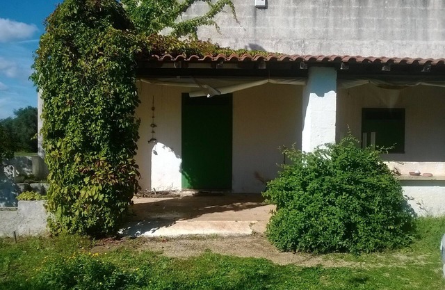 Antigua casa de campo entre los olivos de Salento a 20 'del mar