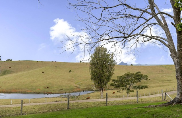 Anderlaine @ Wootha - With views of the Glass House Mountains